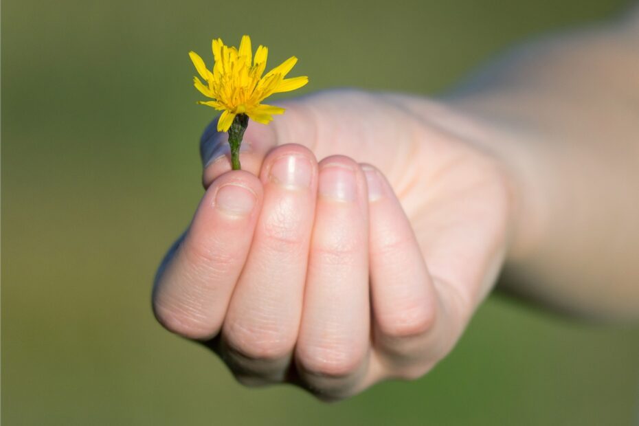 L'importanza della gratitudine per il benessere mentale